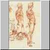 Anatomie eines nackten Mannes, um 1504-06.html